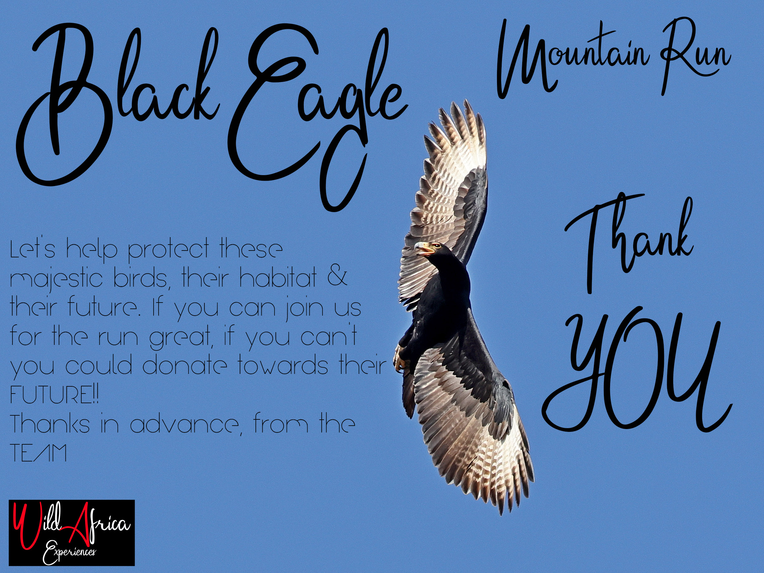 Help the Black Eagles