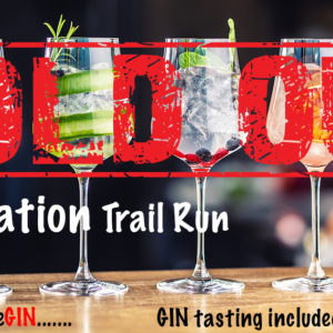 Wild Africa’s GINOVATION - let the fun beGIN