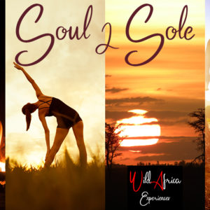 Soul 2 Soul Retreat - Wild Wellness Weekend 10 -12th  Sept 2021