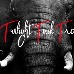 Twilight Tusk Trail - Friday 15th July 2022