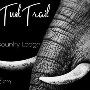 Twilight Tusk Trail - Friday 12th May 2023