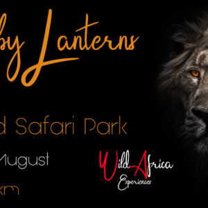 Lions By Lanterns Night Trail - Friday 11th August 2023