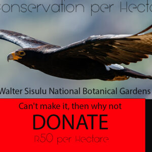 Donations - Black Eagle Mountain Run - per Hectare