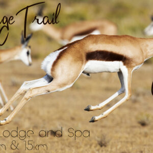 Heritage Trail Monday 25th September 2023