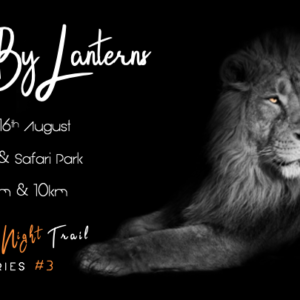 Lions By Lanterns - Friday 16th August 2024