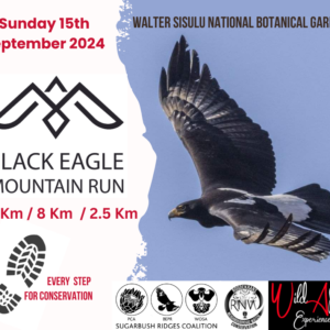 Black Eagle Mountain Run - Sunday 15th September 2024
