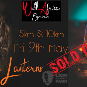Lions By Lanterns - Friday 9th May 2025