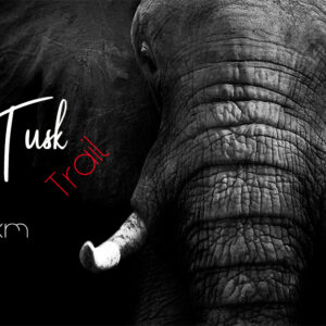 Twilight Tusk Trail - Friday 15th August 2025