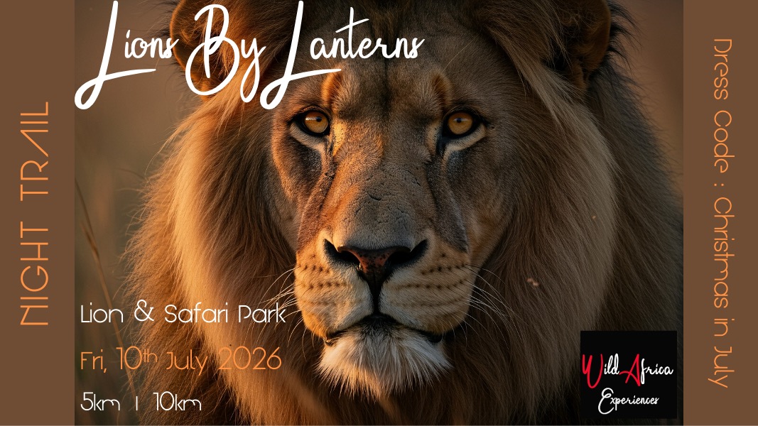 Lions By Lanterns - Friday 10th July 2026